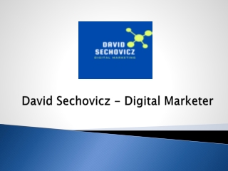 David Sechovicz  Digital marketer
