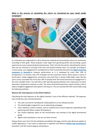 What is the process of calculating the return on investment on your social media campaigns