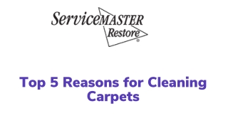 Top 5 Reasons for Cleaning Carpets