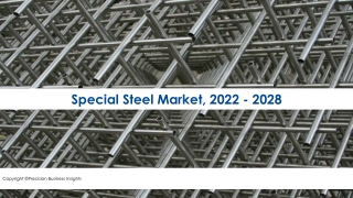 Special Steel Market Size, Share | Industry Forecast 2022-28