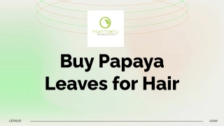 Buy Papaya Leaves for Hair - Papaya Leaf Extract