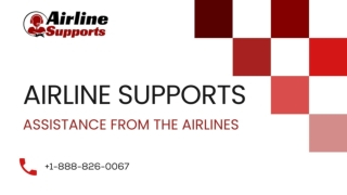 airlines support PPT