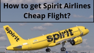 How to get Spirit Airlines Cheap Flight?