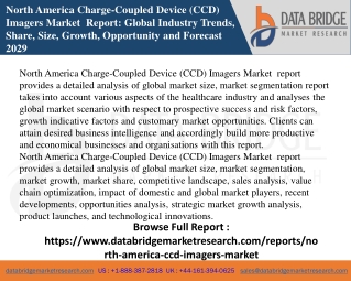 North America Charge-Coupled Device (CCD) Imagers Market  Pdf