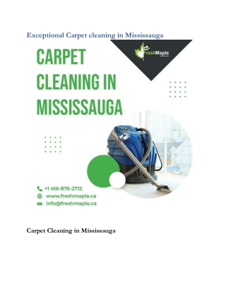 Exceptional Carpet cleaning in Mississauga