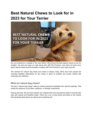 Best Natural Chews to Look for in 2023 for Your Terrier