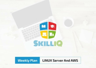 Linux and AWS Certificate Courses with Job Placement - SkillIQ