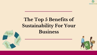 How to Make Your Business More sustainable