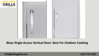 Professional Blaze Single Access Vertical Door