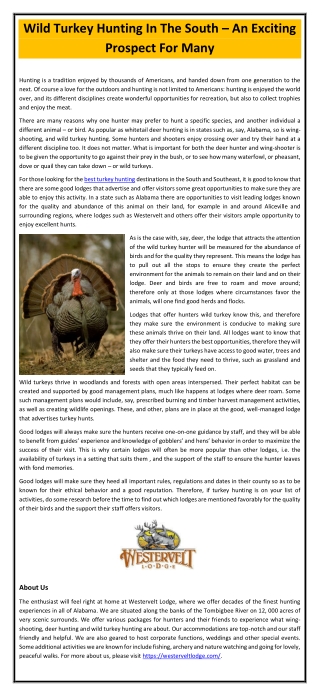 Wild Turkey Hunting In The South – An Exciting Prospect For Many
