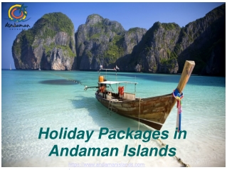 Holiday Packages in Andaman Islands