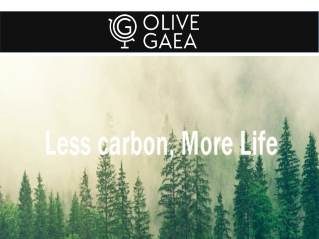 Climate friendly products