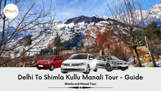 Delhi To Shimla Kullu Manali Tour - Guide
