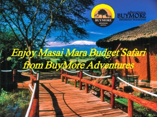 Enjoy Masai Mara Budget Safari from BuyMore Adventures