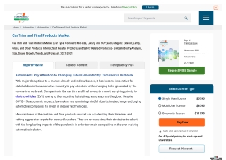 Car Trim and Final Products Market analysis