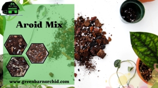 Get Top Quality Aroid Mix at a reasonable price