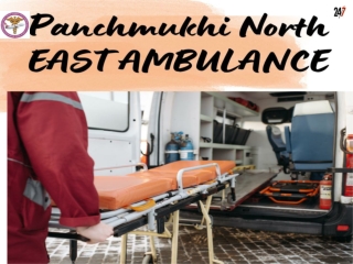 PanchmukhiNorth East Ambulance Servic in Williamnagar and wokha