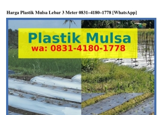 Harga Plastik Mulsa Lebar 3 MeterHarga Plastik Mulsa Lebar 3 Meter O8Зl·Կl8O·lᜪᜪ