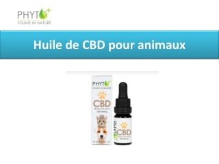 Huile de CBD pour animaux