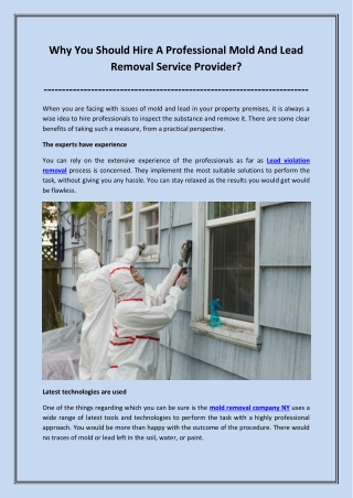 Why you should hire a professional mold and lead removal service provider?