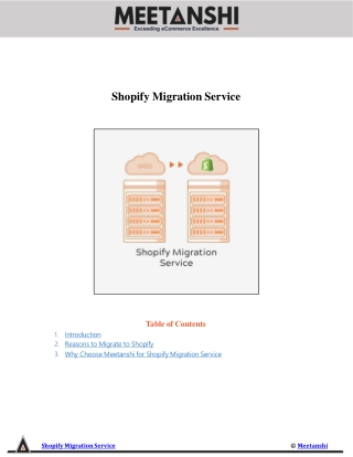 Shopify Migration Service