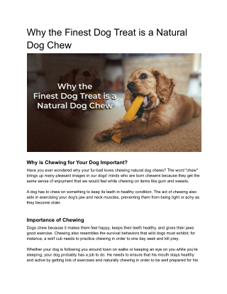 Why the Finest Dog Treat is a Natural Dog Chew