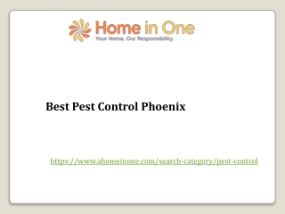 Best Pest Control Phoenix