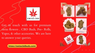 How Does It Feel To Smoke Premium CBD Buds (UK) - swisscbdbuds