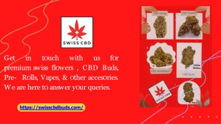How Does It Feel To Smoke Premium CBD Buds (UK) - swisscbdbuds
