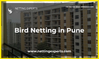 Bird Netting in Pune - Netting Experts