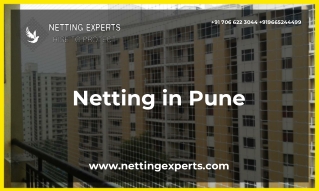 Netting in Pune - Netting Experts