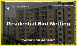 Residential Bird Netting in Pune - Netting Experts