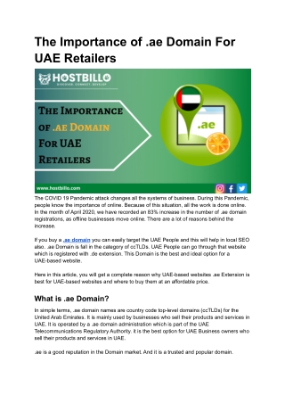 The Importance of .ae Domain For UAE Retailers