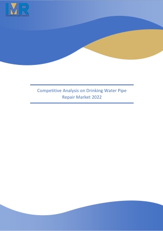 Drinking Water Pipe Repair Market