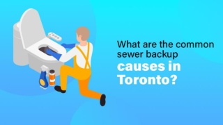 What are the common sewer backup causes in Toronto