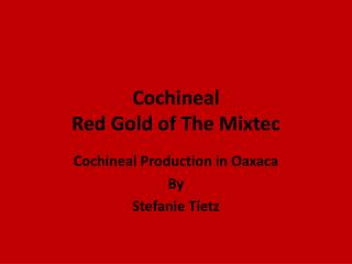 Cochineal Red Gold of The Mixtec