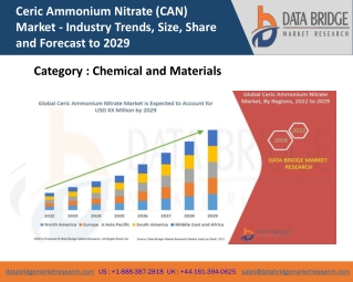 Global Ceric Ammonium Nitrate (CAN) Market