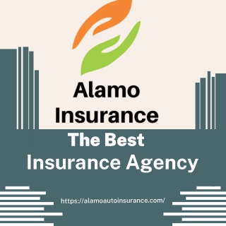 almo insurance