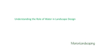 Take Landscape services of Marion landscaping