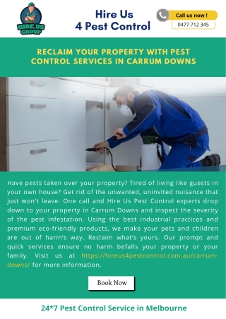Reclaim Your Property With Pest Control Services in Carrum Downs