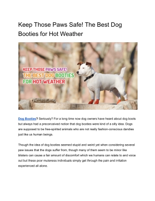 Keep Those Paws Safe! The Best Dog Booties for Hot Weather
