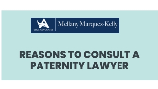 Reasons To Consult A Paternity Lawyer