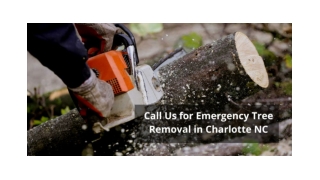 CALL US FOR EMERGENCY TREE REMOVAL IN CHARLOTTE NC