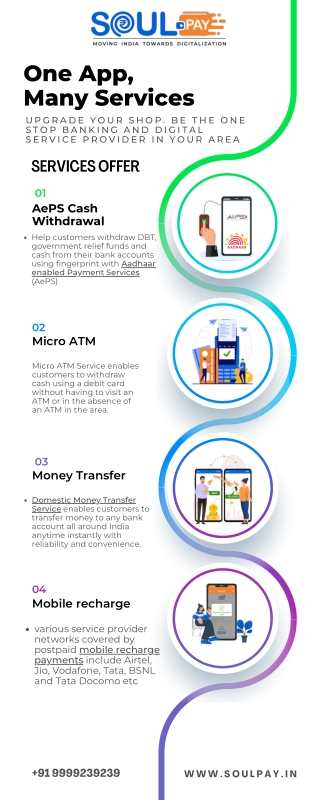 Domestic Money Transfer Service - Soulpay