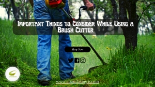 Important Things to Consider While Using a Brush Cutter