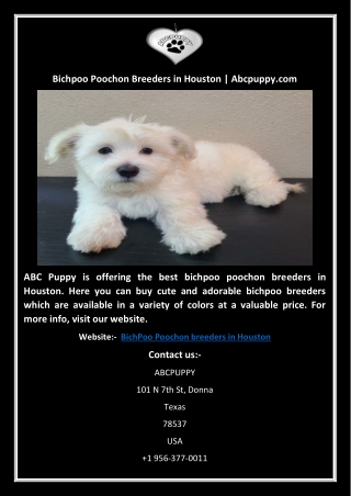 Bichpoo Poochon Breeders in Houston | Abcpuppy.com