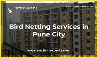 Bird Netting Services in Pune City - Netting Experts