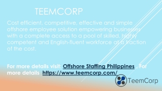 Affordable Offshore Staffing Services by TeemCorp
