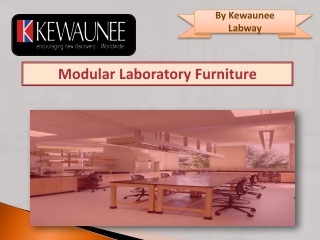 Modular Laboratory Furnitures