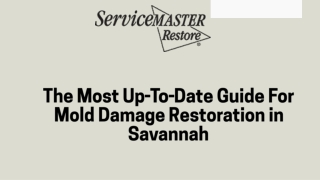 The Most Up-To-Date Guide For Mold Damage Restoration in Savannah